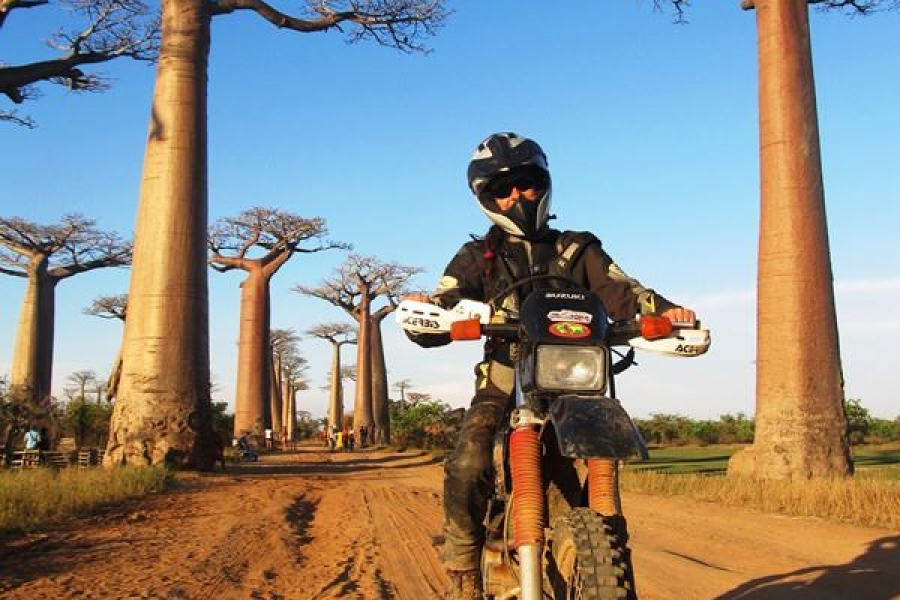 The Avenue de Baobabs is a world renowned image, but not many people know exactly where it is.