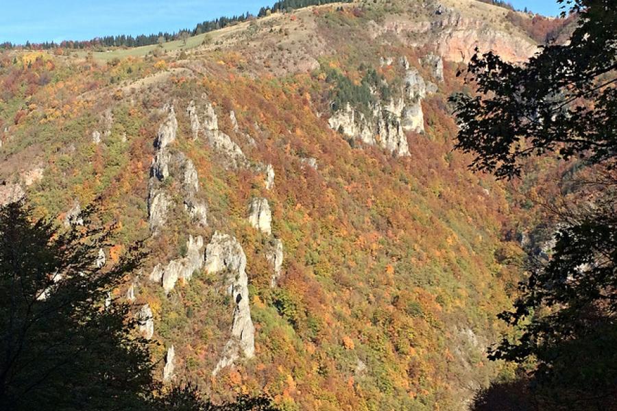 Skakavac Waterfall Area, Sarajevo, Bosnia