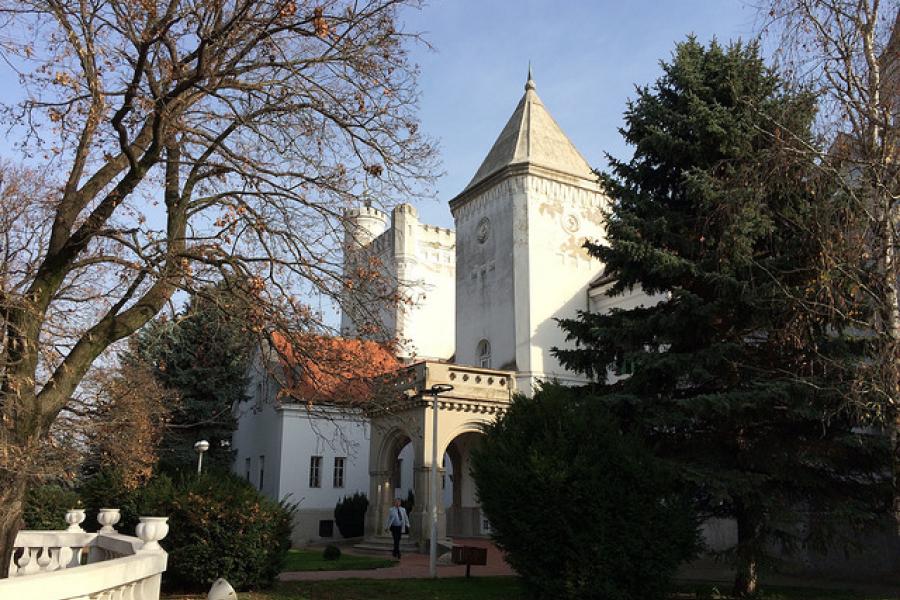  Manor House (Fantast Palace) near  Becej, Serbia