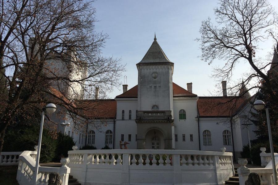  Manor House (Fantast Palace) near  Becej, Serbia