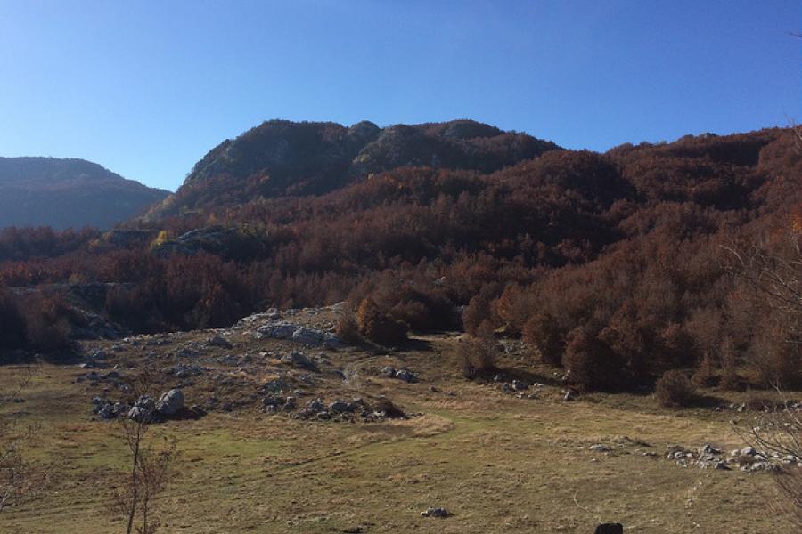 Lovcen National Park, Montenegro