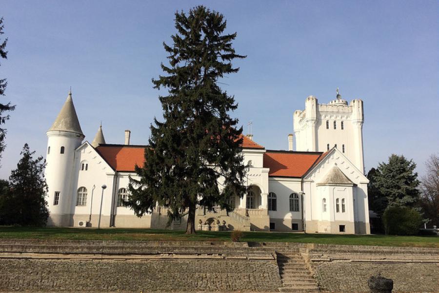  Manor House (Fantast Palace) near  Becej, Serbia