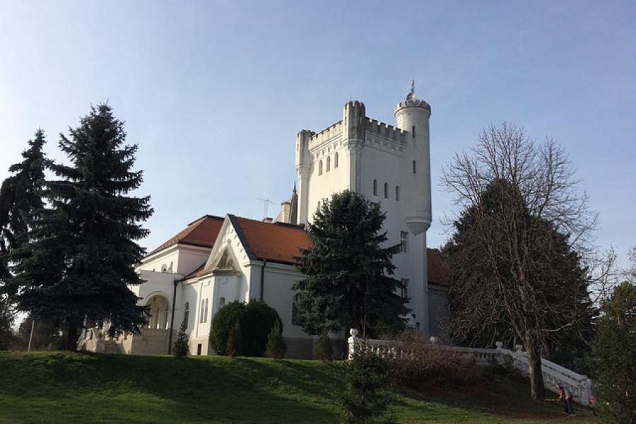  Manor House (Fantast Palace) near  Becej, Serbia