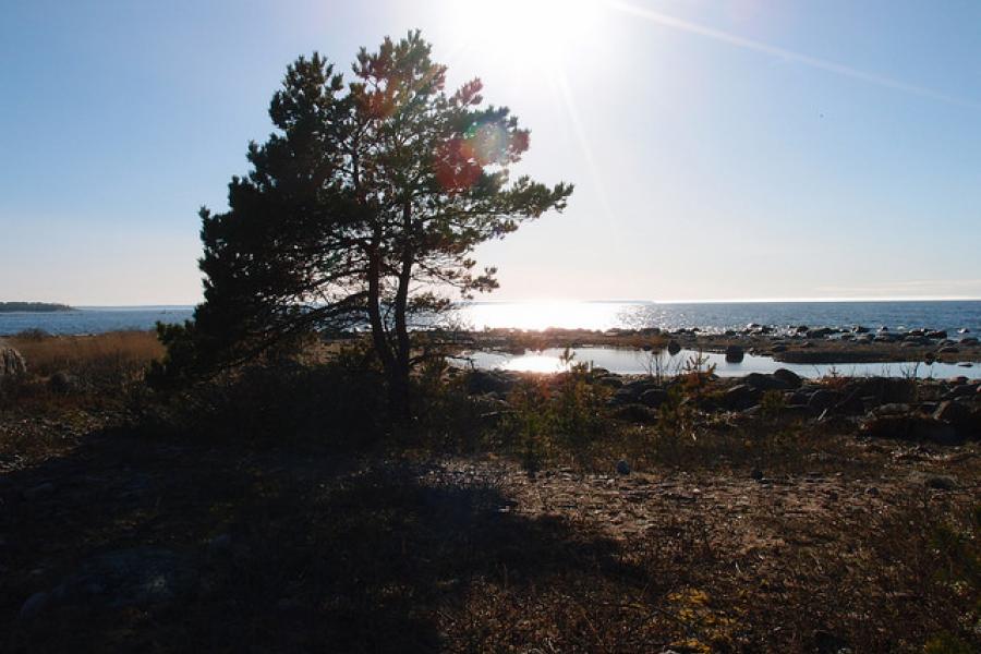 Purekkari Cape - northernmost point of Estonia