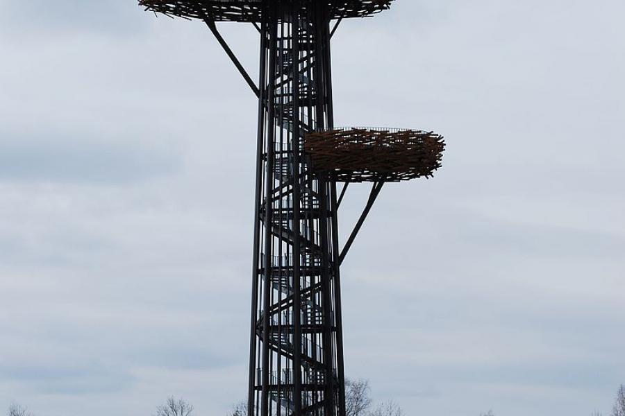 Pesapuu (Tree of Nests) observation tower in Rõuge