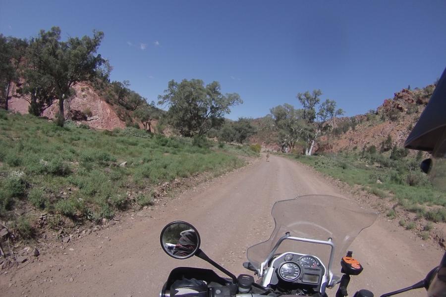 Flinders Ranges by bike