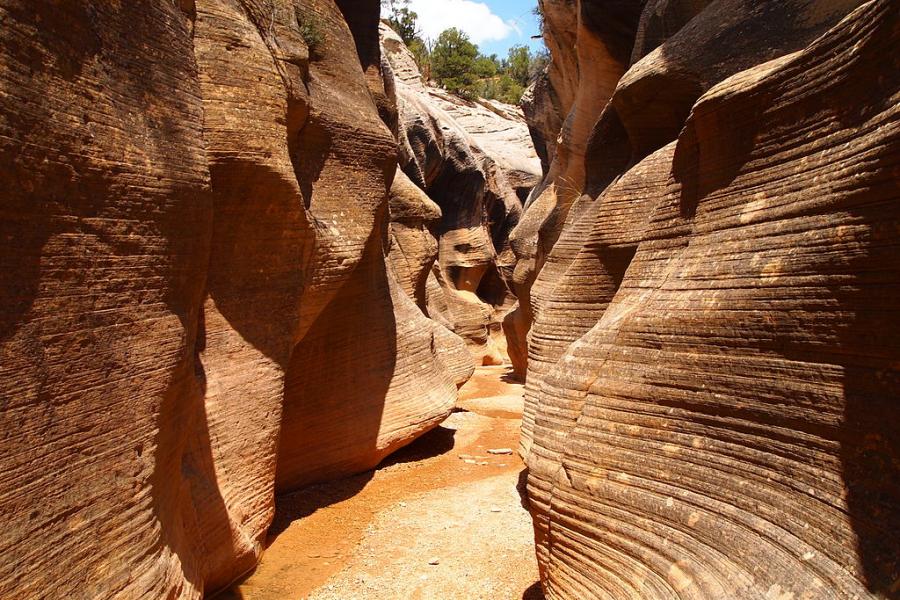 Willis Creek in the Grand Staircase