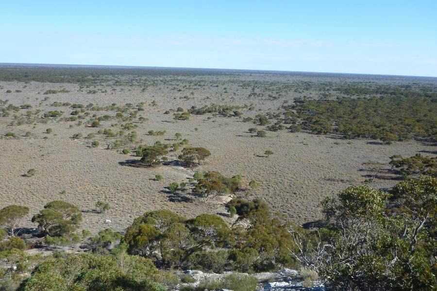 Hampton Tableland and Roe Plains