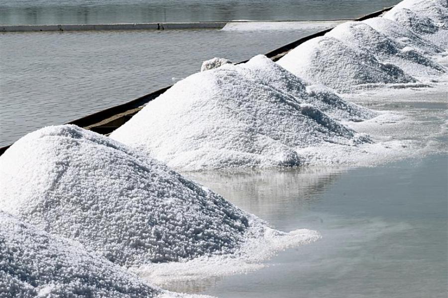 fresh sea salt harvesting