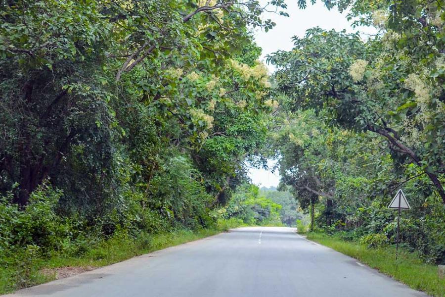 road-to-the-dudhsagar-falls