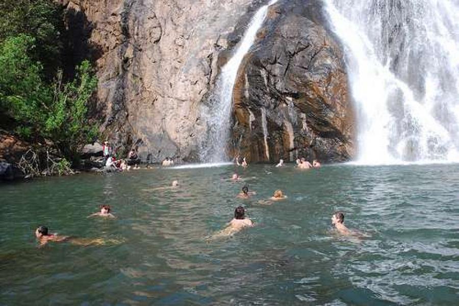 swimming dudhsagar