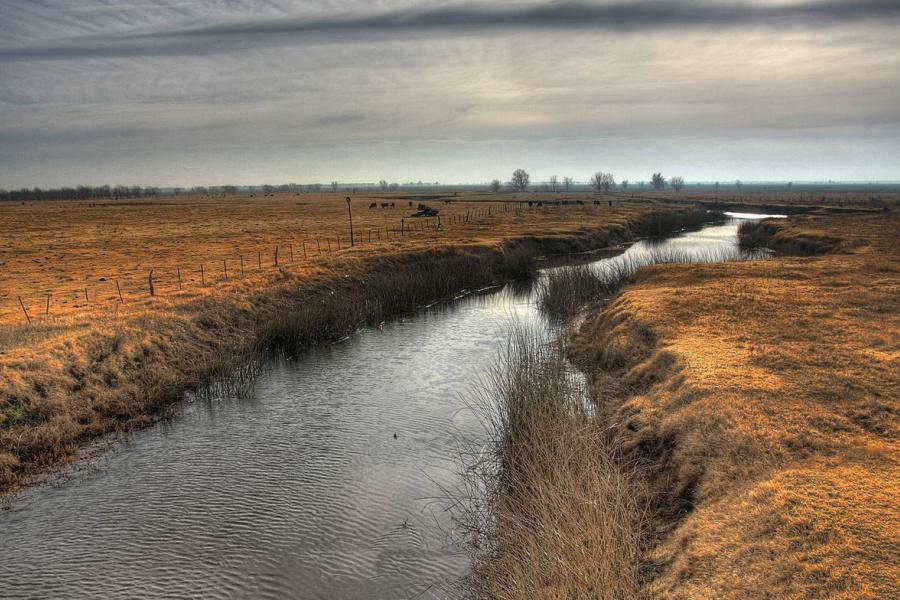 Las Pampas stream at dusk, Argentina