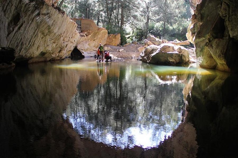 Limestone walls of Abercrombie Caves