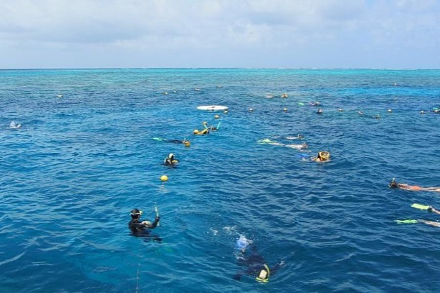 Snorkellers, Great Barrier Reef