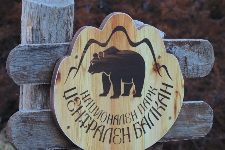 Bear sign, Central Balkan National Park