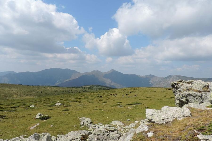 Central Balkan National Park landscape