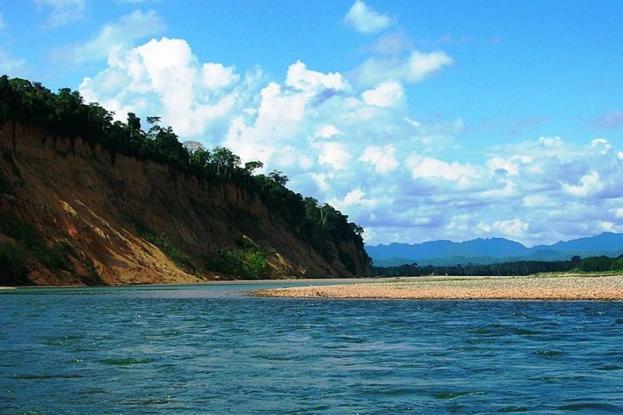 At water level, Madidi National Park, Bolivia