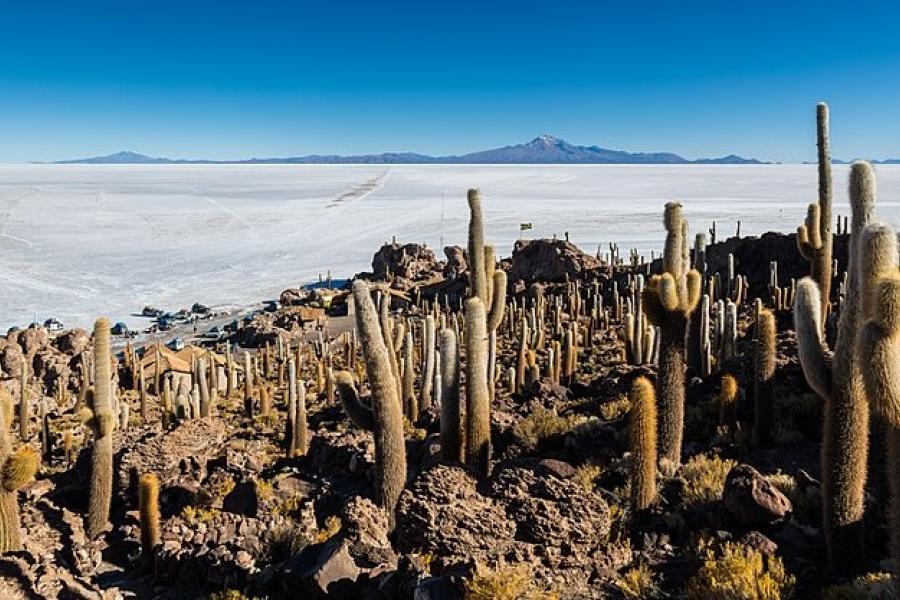 Isla del Pescado, Salar de Uyuni