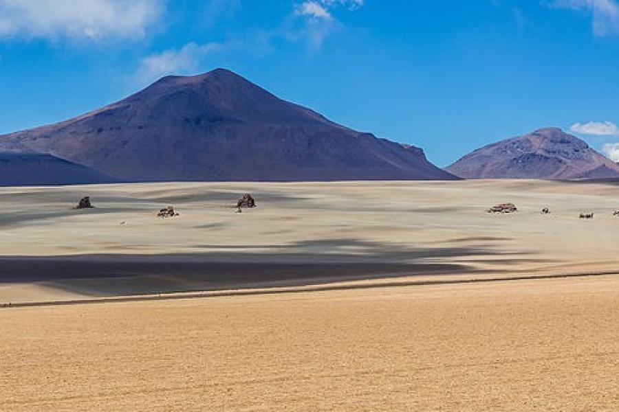 Distant mountains and tufts of vegetations, Salvador Dali Desert