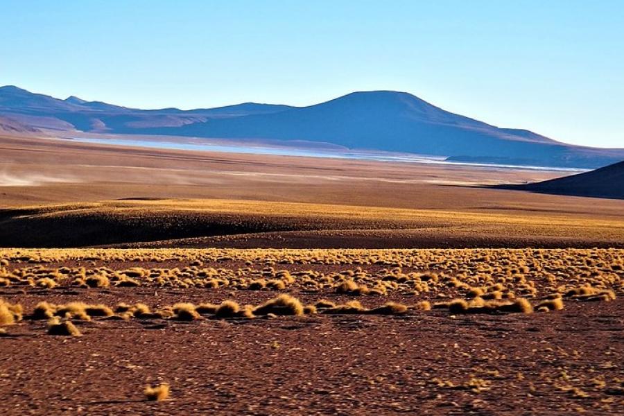 Landscape of the Salvador Dali Desert