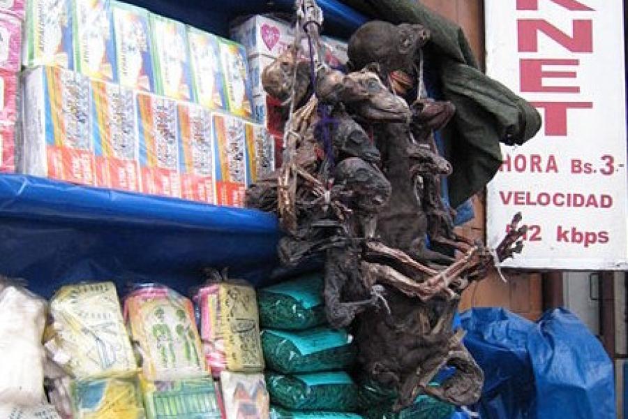 Interesting wares inside a store, Witches' Market, La Paz