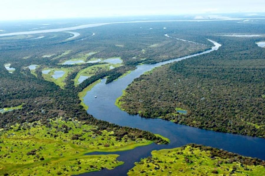 Aerial view of the Mamiraua Sustainable Development Reserve, Brazil