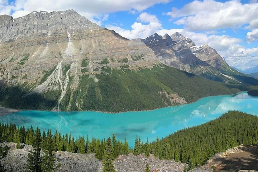 Peyto Lake