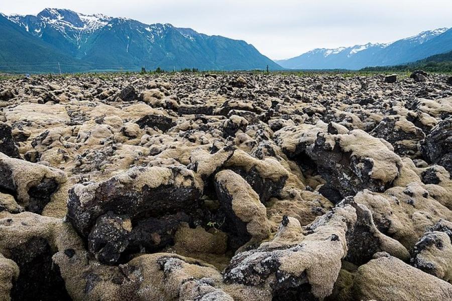 Lava bed, BC