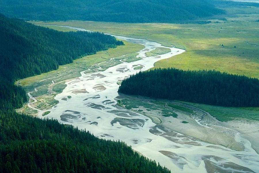 River delta, Stikine Valley