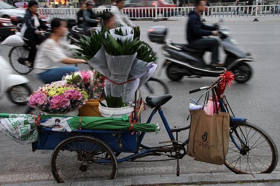 Bike traffic, Guilin