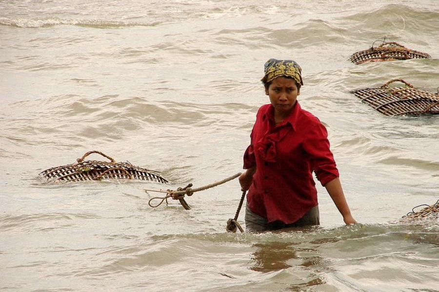 Woman retrieving crab traps from the water, Kep