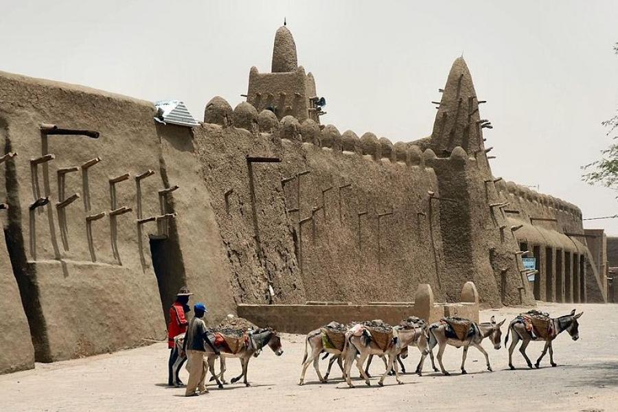 Donkeys outside ancient stone wall, Timbuktu, Mali