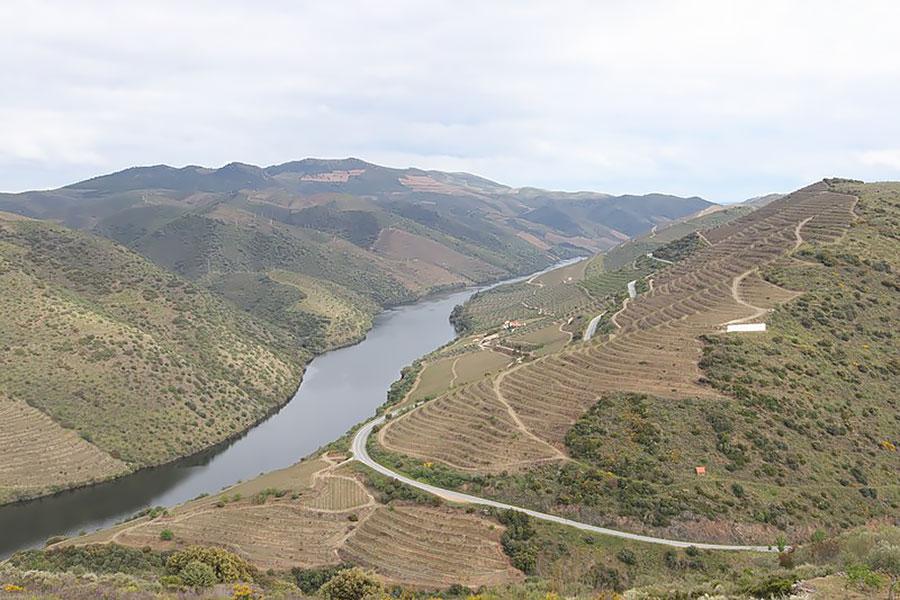 Vale do Coa terraced hillsides