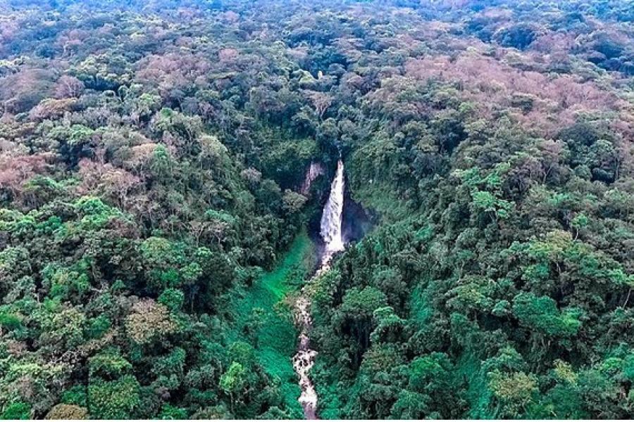 Aerial view of waterfall and surrounding jungle, Kahuzi-Biega National Park