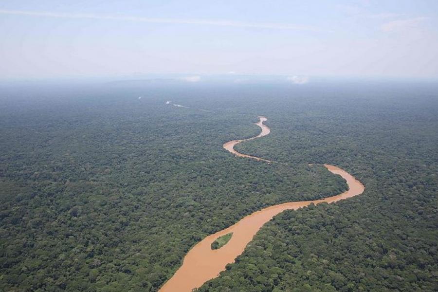 Aerial vista of surrounding areas, Okapi Wildlife Reserve