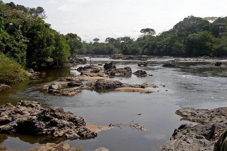 River view, Okapi Wildlife Reserve