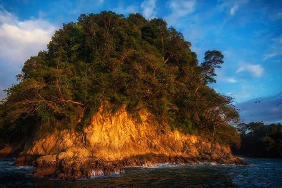 View of a beach bluff from the sea