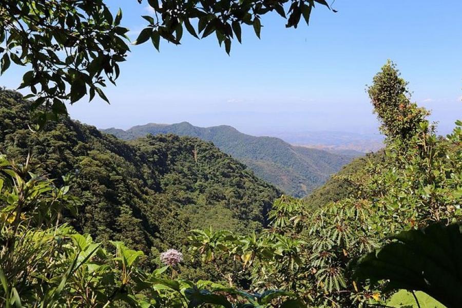 View above the canopy, Monteverde Cloud Forest Reserve, Costa Rica