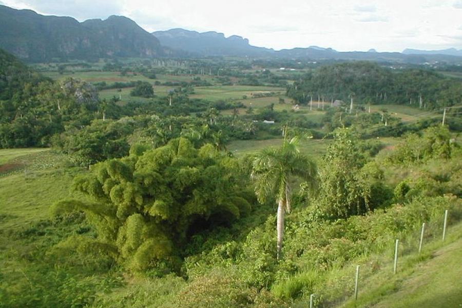 Landscape overview of Pinar del Rio