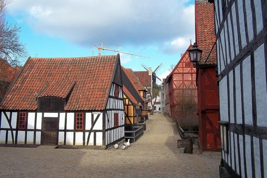 Sidestreet with geese, Den Gamle By, Denmark