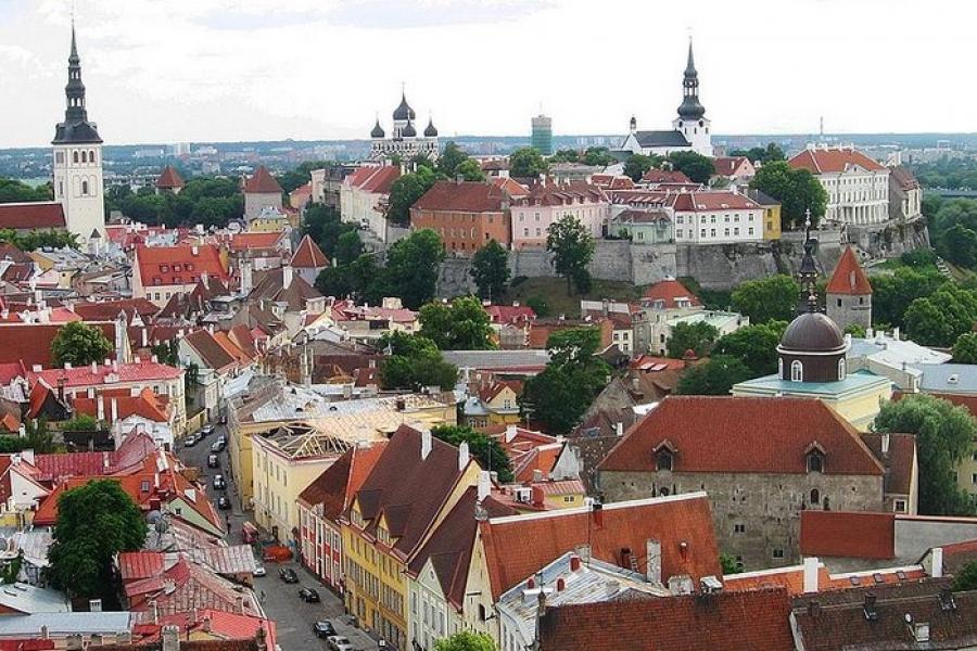 Vista overlooking rooftops, Old Tallinn, Estonia