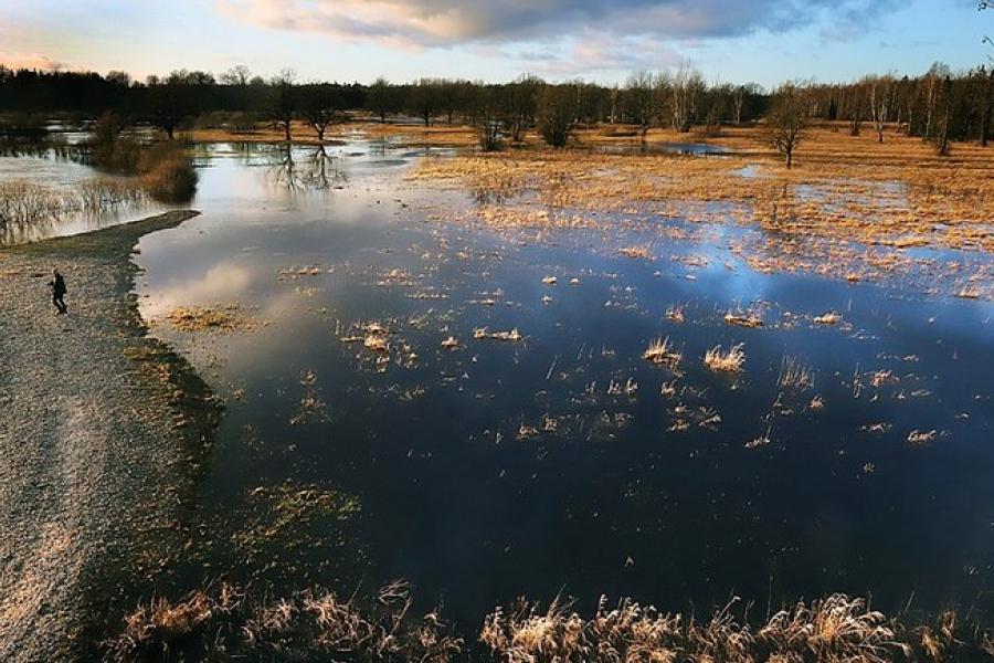 Aquatic or flooded landscape, Soomaa National Park, Estonia