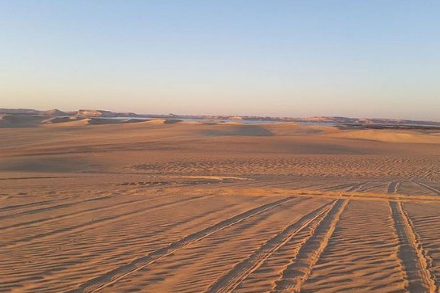 Desert sand and dune surrounding Siwa Oasis, Egypt