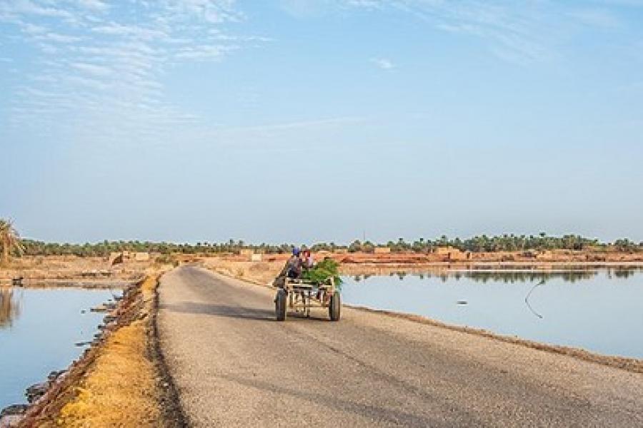 Well-travelled dirt road to Siwa Oasis, Egypt