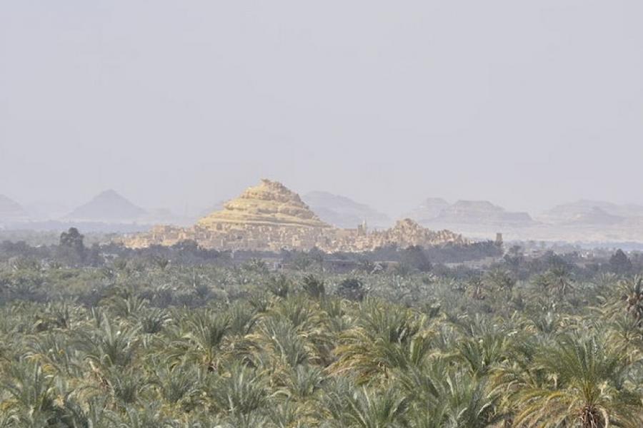 Landscape vista with vast palm fields, Siwa Oasis, Egypt