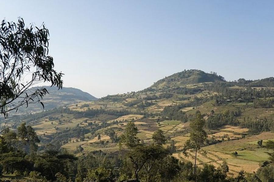 Green hillsides, Simien Mountains National Park