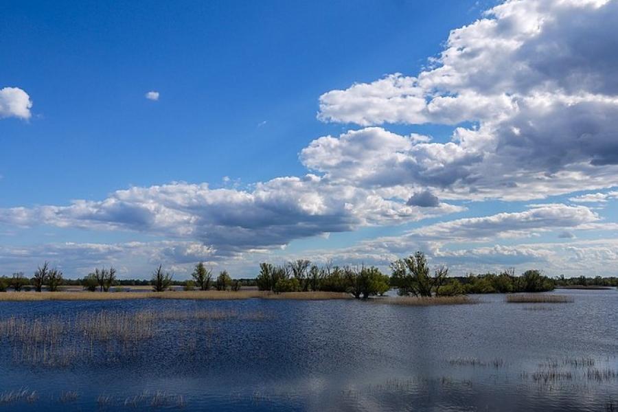 Estuary view, Kopacki Rit National Park