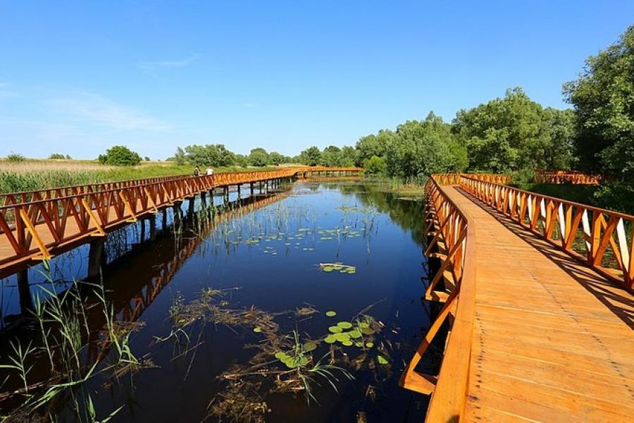 Walkways on the water, Kopacki Rit National Park