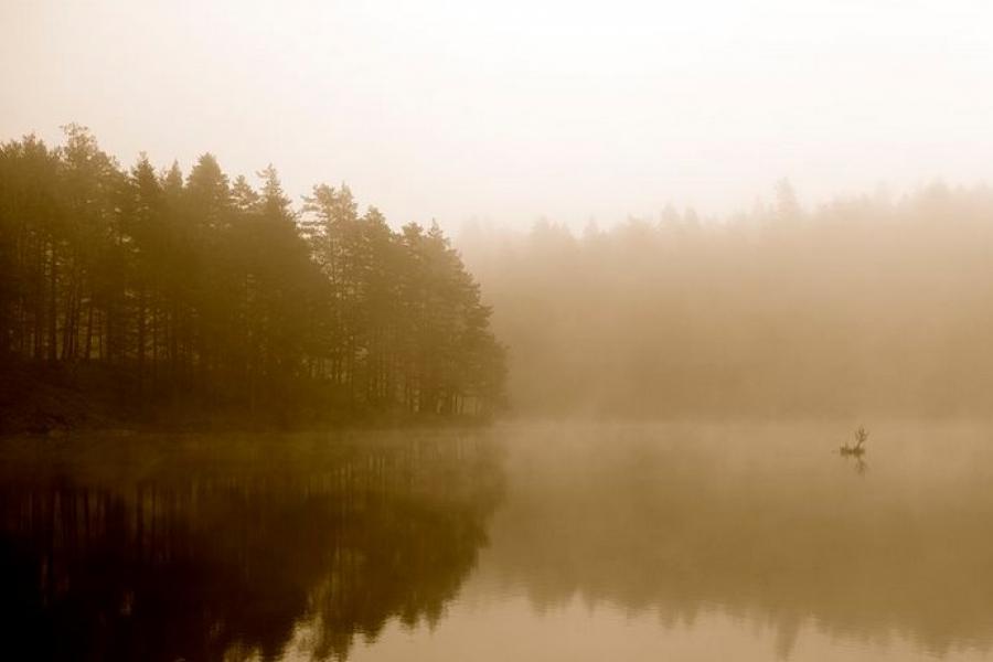 Misty lake view, Nuuksio National Park