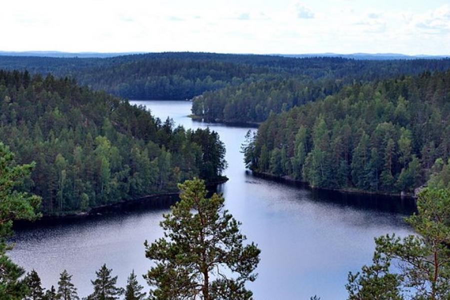 Vista of Repovesi National Park